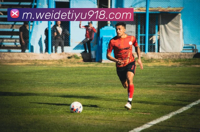 韦德体育品牌故事