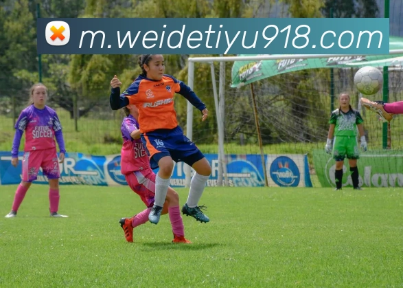 韦德体育服务体系