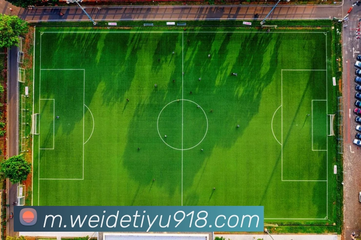 多媒体互动体验